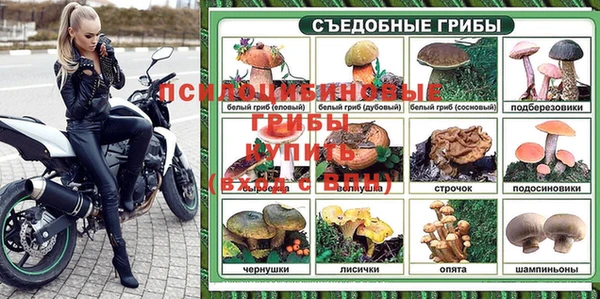 СК Армянск